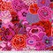 Fabric FreeSpirit Kaffe Fassett Magenta Bekah by the Quarter Yard GP69.MAGEN